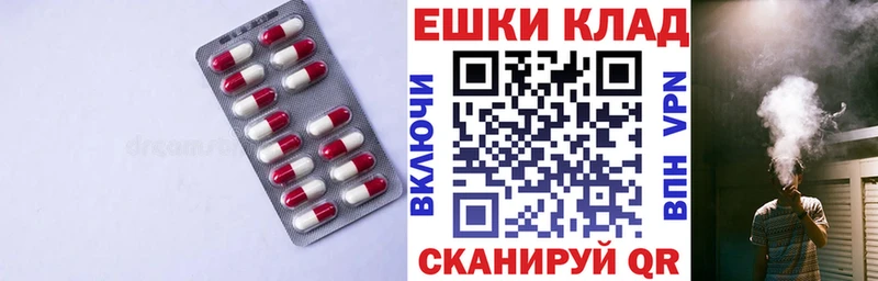кракен рабочий сайт Пушкино Ecstasy Punisher
