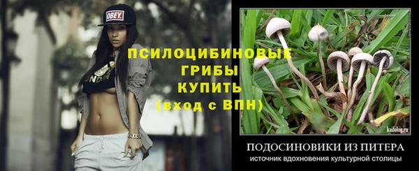 дживик Кинешма
