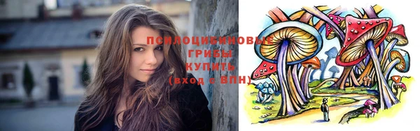 гидропоника Козельск