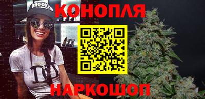 гидропоника Кингисепп