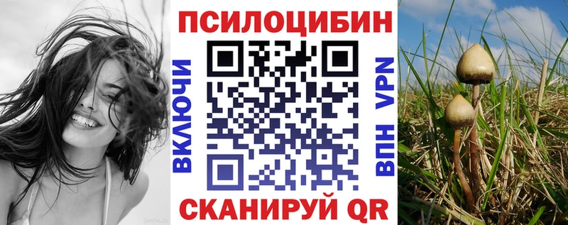 наркотики  Пушкино  Псилоцибиновые грибы прущие грибы 
