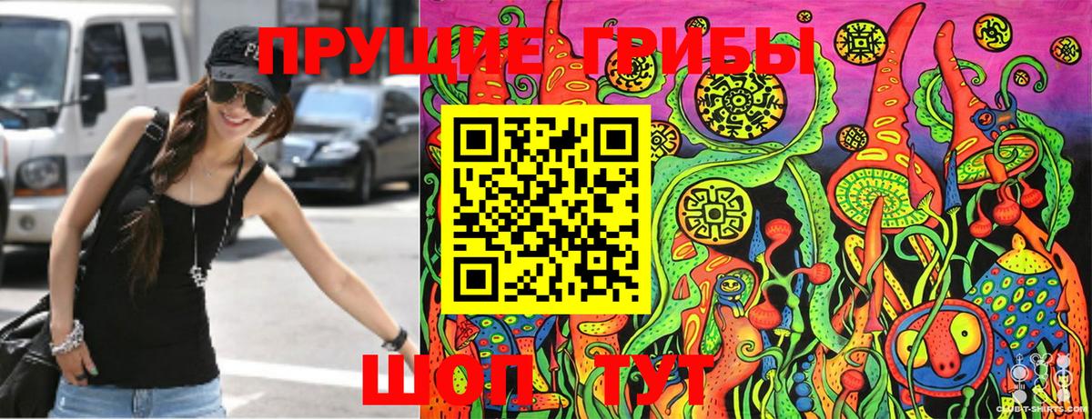 как найти закладки  Пушкино  Галлюциногенные грибы MAGIC MUSHROOMS 
